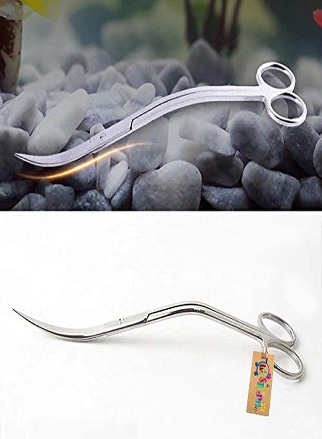 ويستيرن إرا مقص كبير الحجم من الفولاذ المقاوم للصدأ بتصميم موجة منحنية، مناسب لأحواض الأسماك وتنظيف النباتات المائية، من إنتاج شركة ويسترن إيرا. - Image 5